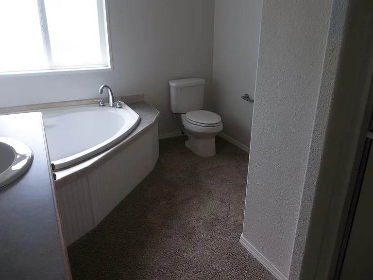 2 N Shoshone Trl — Photo 20