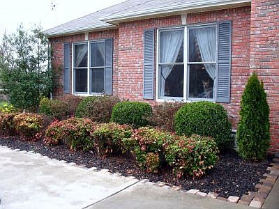 Mature Care Free Landscaping!