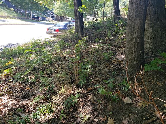 5th image of 3362 Lakeshore Dr
