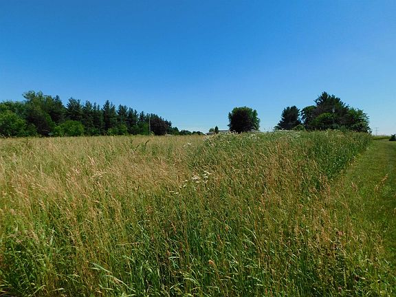 4th image of 8823 Meadow Lake Trl