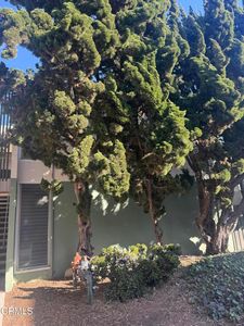 3700 Dean Dr Unit 3306, Ventura, CA, 93003