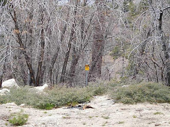 3rd image of 32962 Canyon Dr