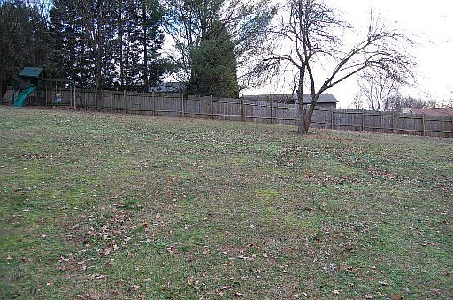 3rd image of 1709 Winbrook Cir