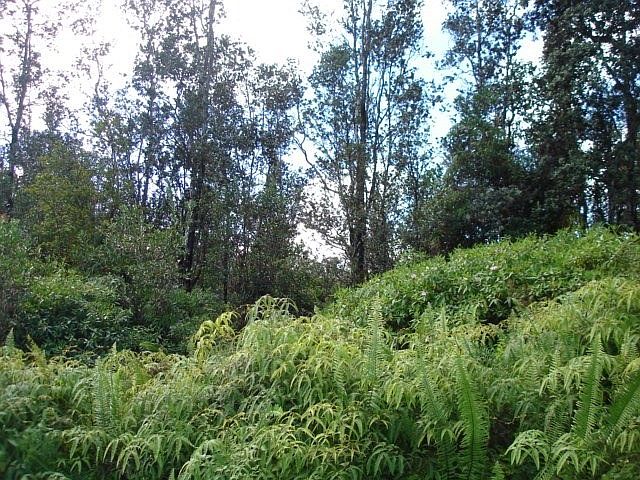 2nd image of LOT 7172nd