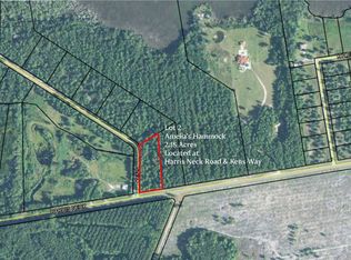 LOT 2 Kens Way NE, Townsend, GA 31331
