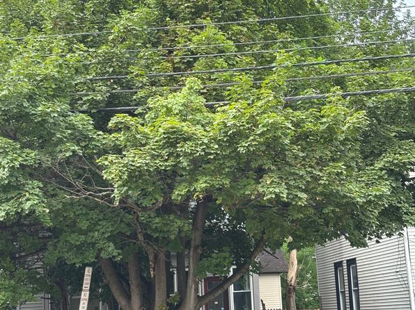 (undisclosed Address)