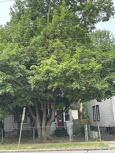1110 S Geddes St Photo 1