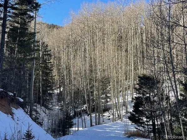 Lot 5252 Scott Road, Fort Garland, CO 81133