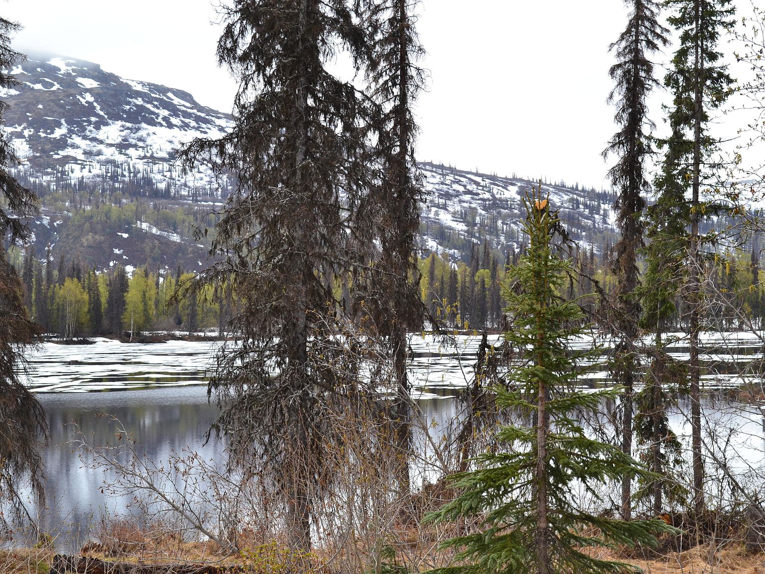 28951 N Parks Hwy, Remote, AK 99000 Zillow