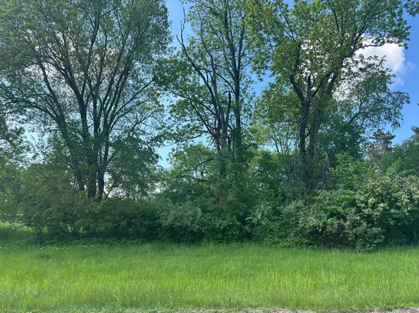 1565 Lake Wildwood Dr #1565, Varna, IL 61375