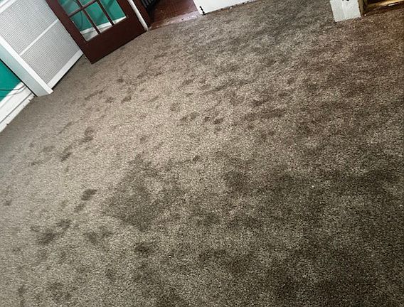 3rd image of 611 Gibson Ave #4