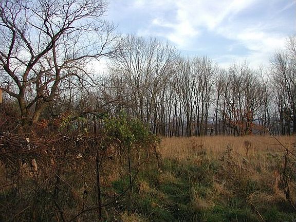 South orchard