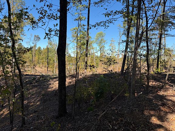 2nd image of County Road 202