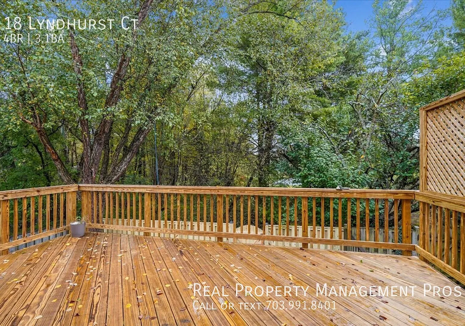 Gorgeous 4 BR/3.5 BA End Unit in Countryside - Fenced Yard Backs to Trees — Photo 4