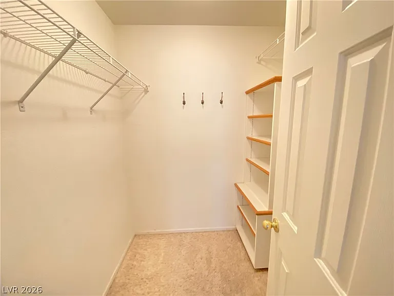 10171 Rocky Tree St — Photo 22