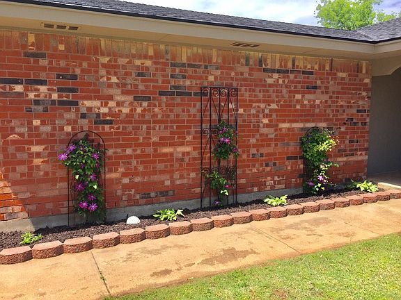 These Vines and green plants come back each year, no need to plant unless you want too!
