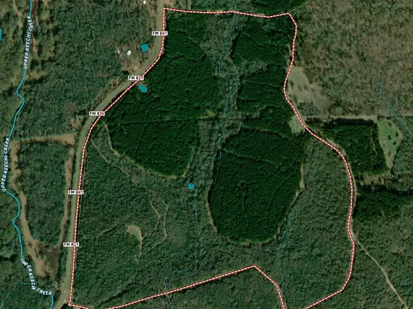 Fm 831, Oakwood, TX 75855