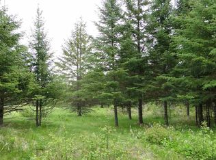 Xxx Lindahl Rd, Hermantown, MN 55811