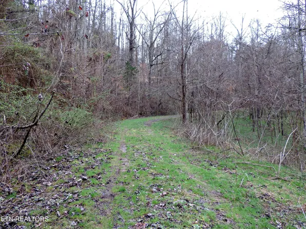 10 Hickory Springs Rd Lot 10, Washburn, TN 37888