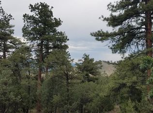 L Mb 20th Trl, Cotopaxi, CO 81223