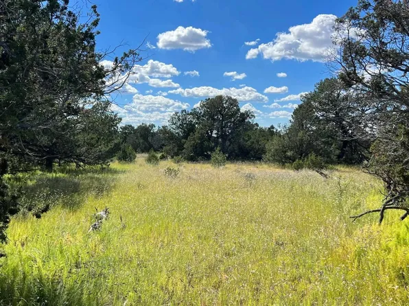 Ocaso Rd, Pie Town, NM 87827