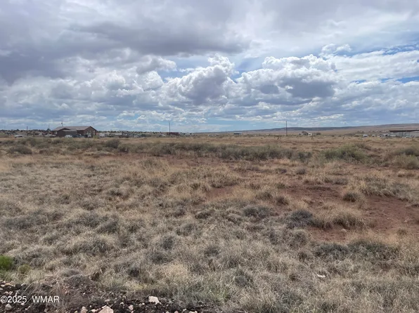 29 County Road 6010, Saint Johns, AZ 85936