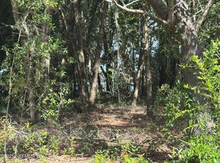 157 E Cowpen Lake Point Rd, Hawthorne, FL 32640