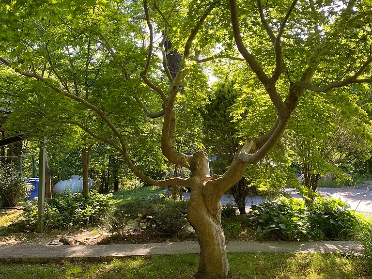 14 Bear Creek Pl — Photo 21