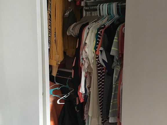 Master Closet #1