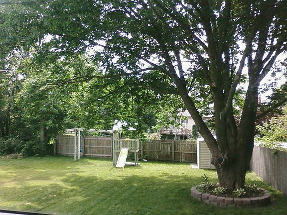 Backyard looking out