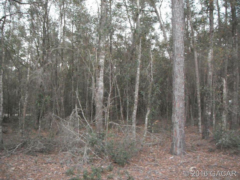 2nd image of 146 Wall Lake Trl