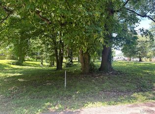 0 Lewis & Albert St, Dexter, MO 63841