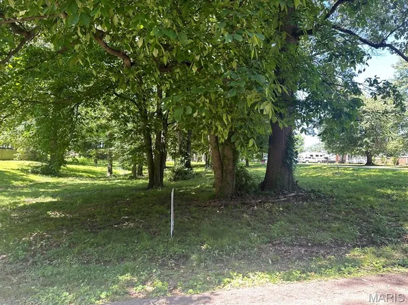 0 Lewis & Albert St, Dexter, MO 63841