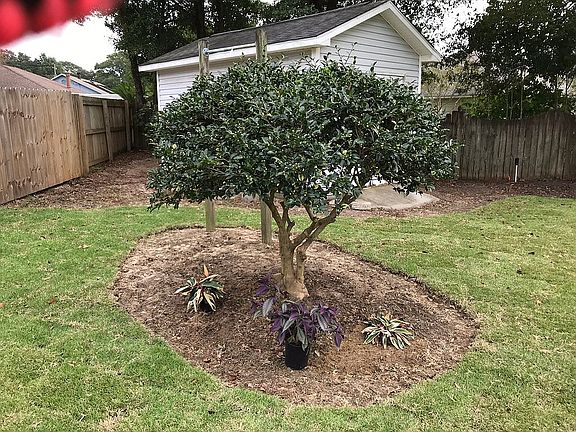 3rd image of 2951 Charter Oaks Ln