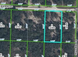 34078 Eiler Blvd, Webster, FL 33597