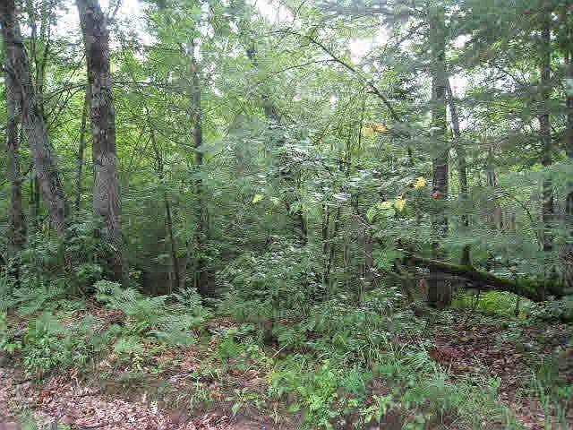 2nd image of 0 Public Landing Road