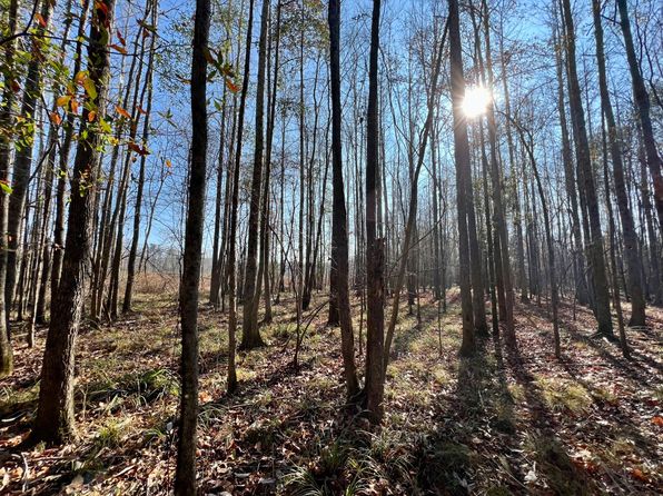 0 County Road 219, Selma, AL 36701