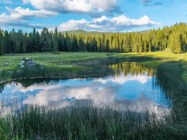 1451 Coon Hollow Rd, Kila, MT 59920