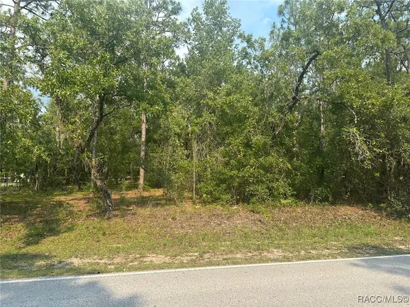 218 N Indianapolis Ave, Hernando, FL 34442