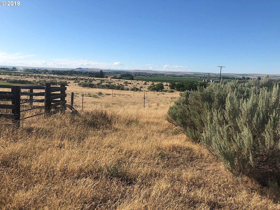 2nd image of Shelley Ln