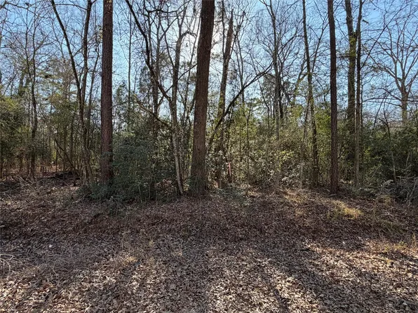 Tbd Lazy Oak Dr, Livingston, TX 77351