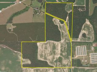 0 Watson Rd LOT WP001, Vienna, GA 31092