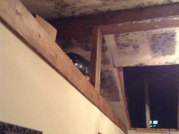 lofts above living area 