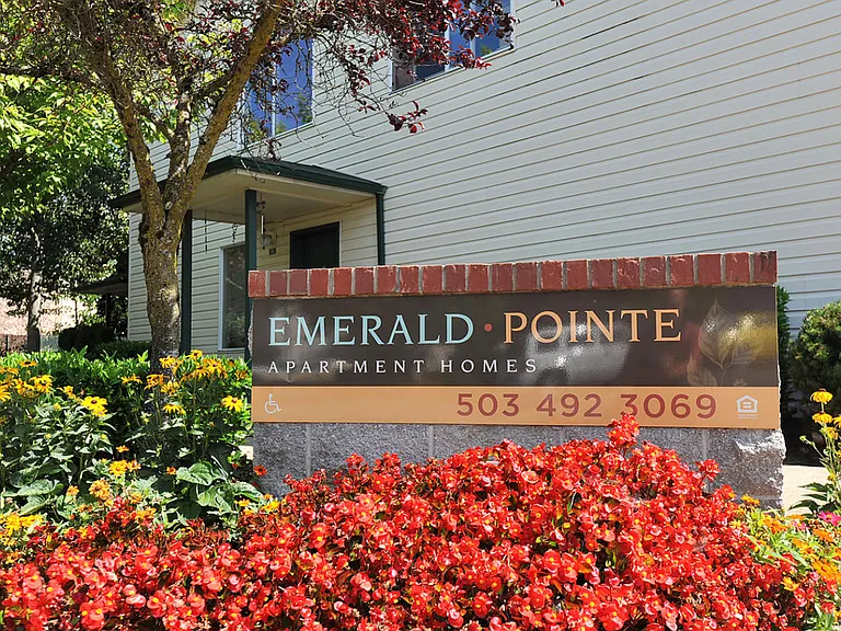Emerald Pointe — Photo 2