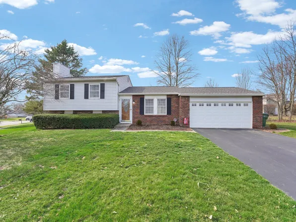8437 Nimitz Dr, Powell, OH 43065