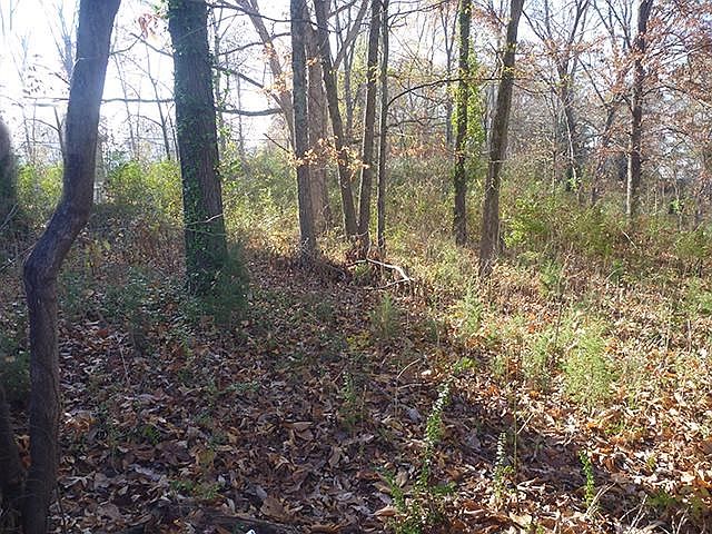 2nd image of 608 Norris Dr