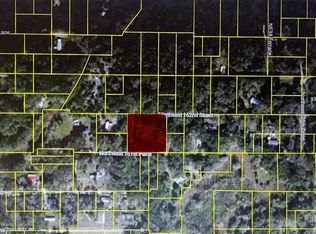 TBD NE 163RD PLACE LOT 19, CITRA, FL 32113
