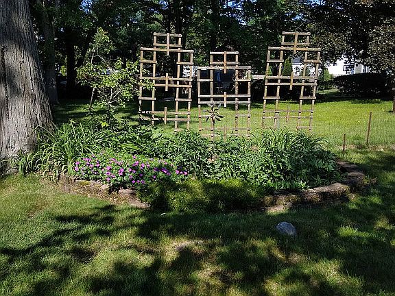 Back perennial garden