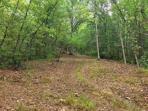 4th image of 398 Bear Creek Rd