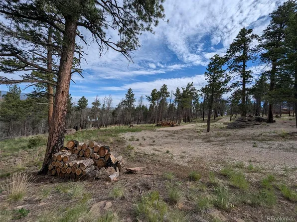 514 Leslie Loop, Fort Garland, CO 81133